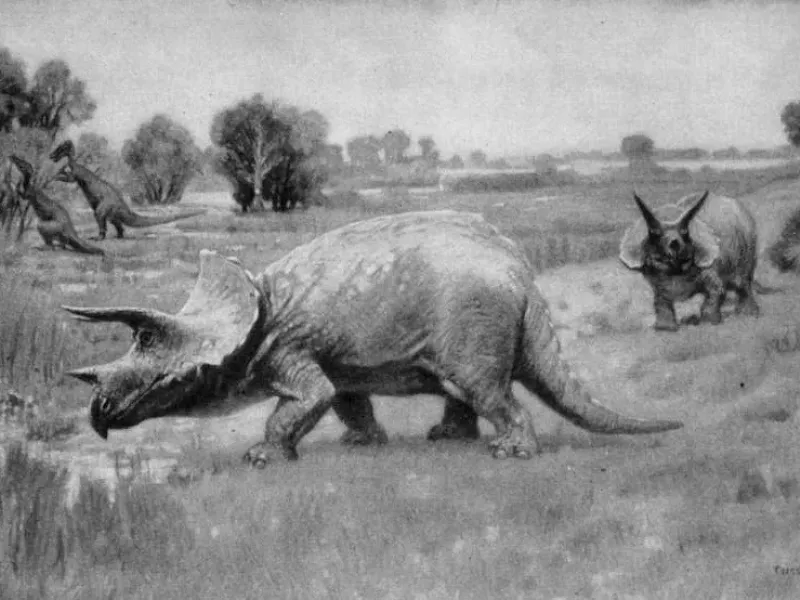 Трицератопс